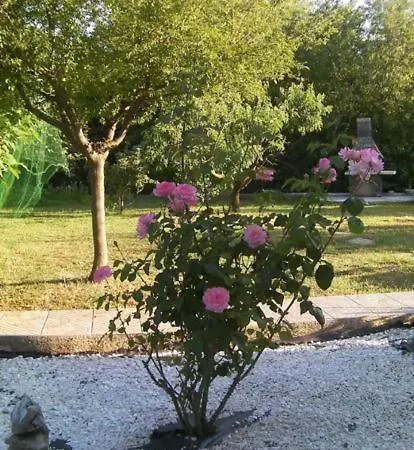 Oazi Di Pace Sveti Vid-Miholjice